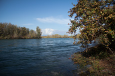 Ticino